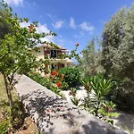 Apartment Irida